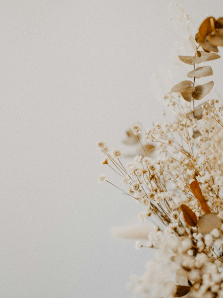 Sydney Wide Counselling Services